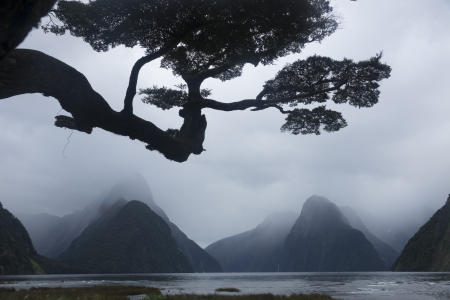 Milford Sound NZ